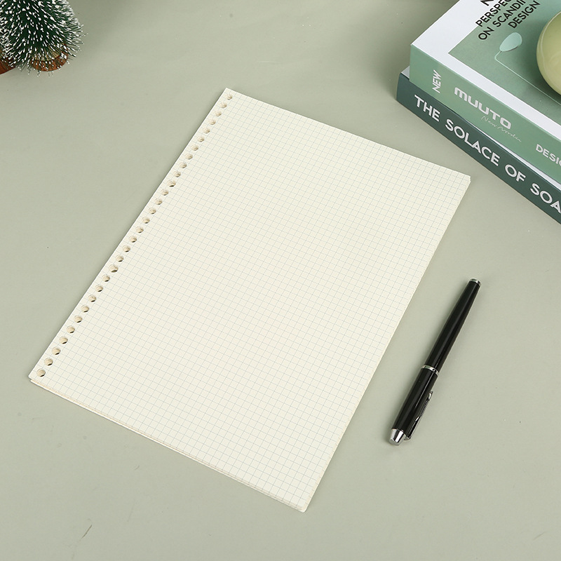 A5 B5 Line Grid 20Holes Loose- - огляд і ціна A5 Spiral Dotted Grid Notebook