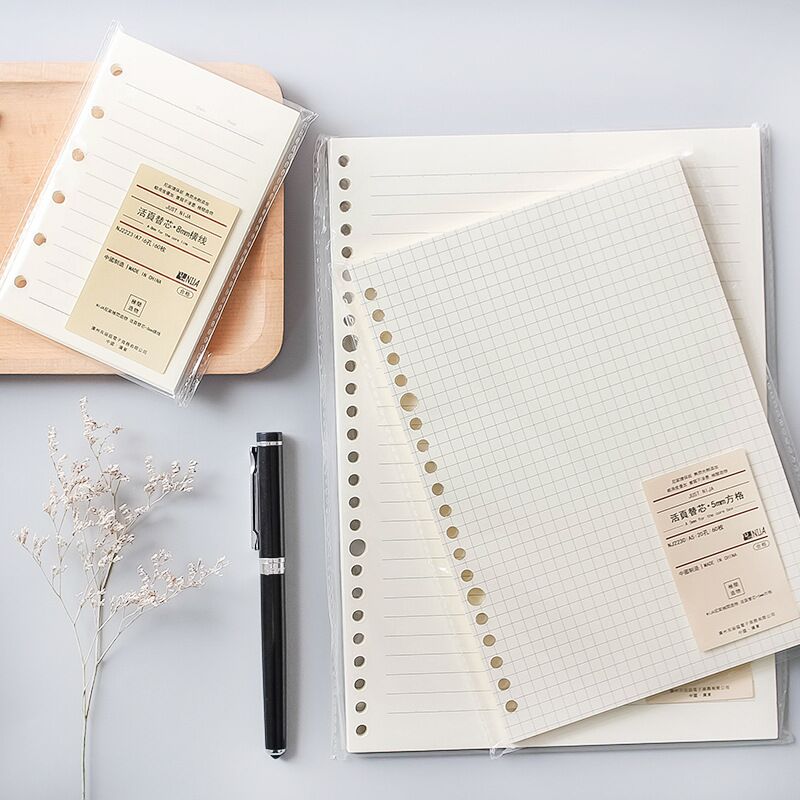 A5 B5 20Holes Loose-Leaf Noteb - огляд і ціна A5 Spiral Dotted Grid Notebook